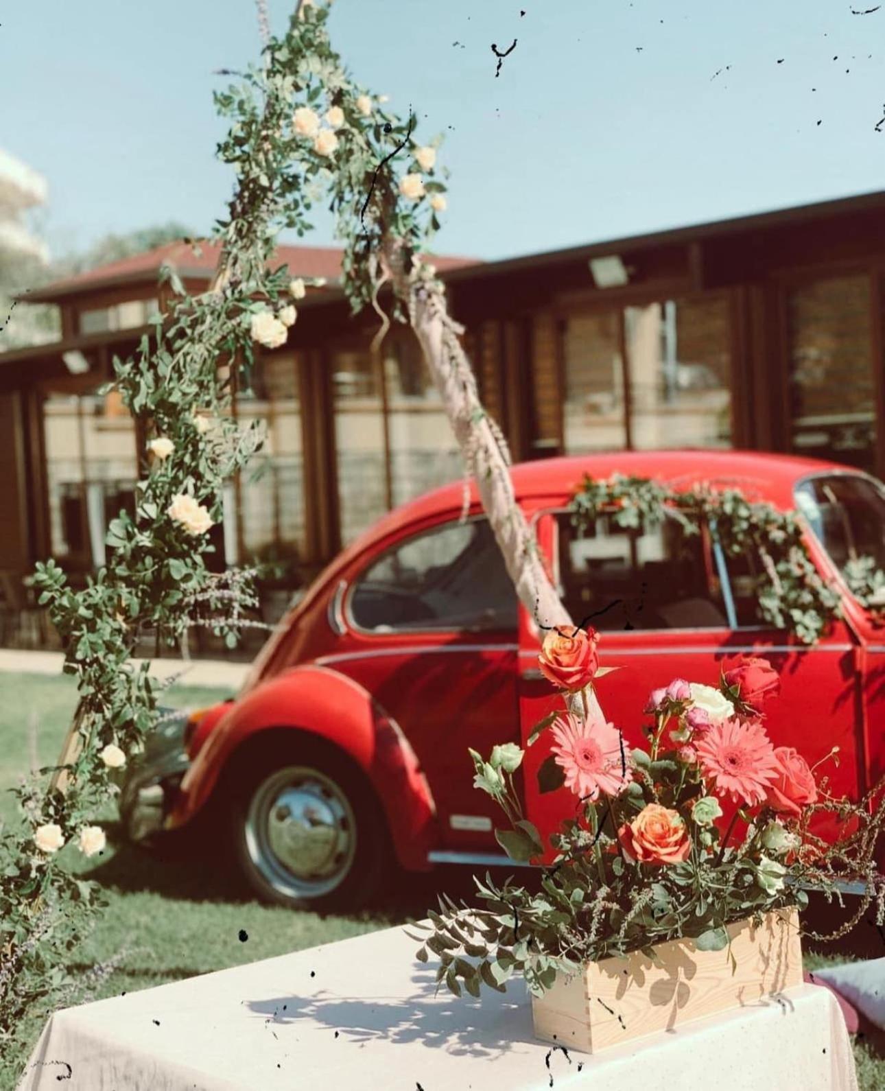 Apart Hotel Llolla Улцинь Екстер'єр фото